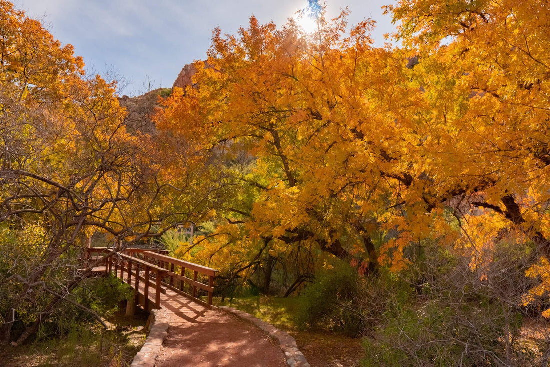 Arizona Fall Bucket List: 6 Best Places and Events to Enjoy Autumn